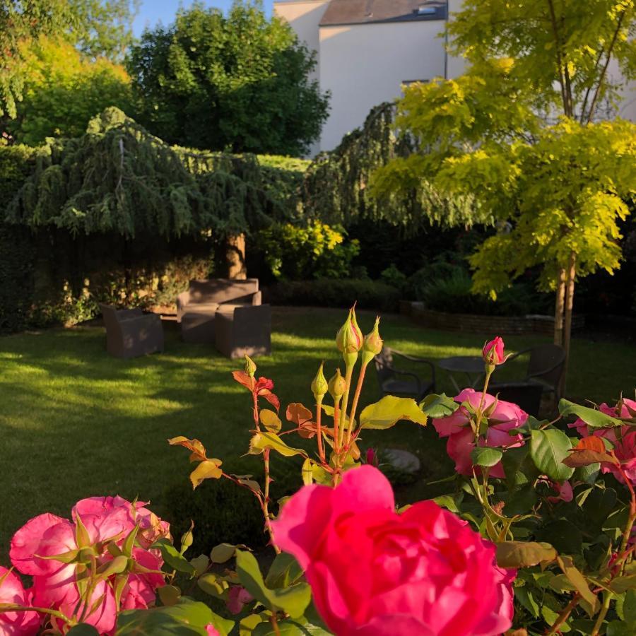 Hotel Des Cedres Orleans Bagian luar foto
